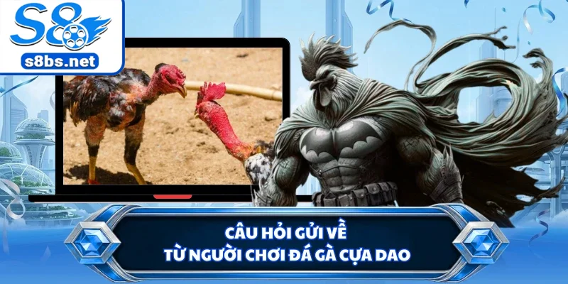 Đá Gà Cựa Dao - Sàn Đấu Trực Tuyến Uy Tín Nhất Tại S8 3 Câu hỏi gửi về từ người chơi đá gà cựa dao