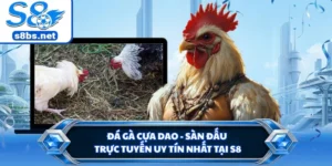 Đá Gà Cựa Dao - Sàn Đấu Trực Tuyến Uy Tín Nhất Tại S8