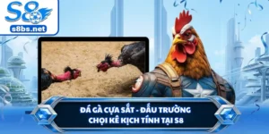 Đá Gà Cựa Sắt - Đấu Trường Chọi Kê Kịch Tính Tại S8