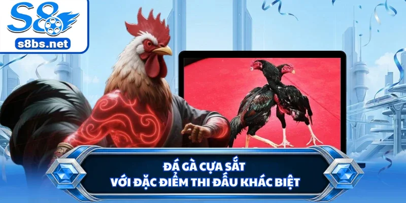 Đá Gà Cựa Sắt - Đấu Trường Chọi Kê Kịch Tính Tại S8 1 Đá gà cựa sắt với đặc điểm thi đấu khác biệt
