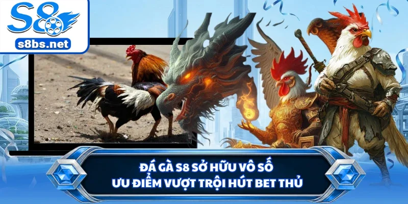 Đá gà S8 sở hữu vô số ưu điểm vượt trội hút bet thủ