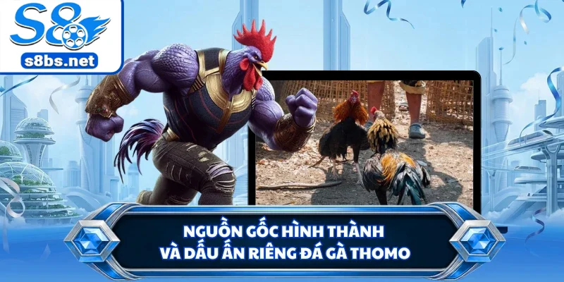 Nguồn gốc hình thành và dấu ấn riêng đá gà Thomo
