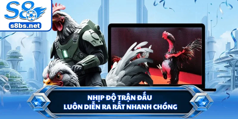 Đá Gà Cựa Sắt - Đấu Trường Chọi Kê Kịch Tính Tại S8 2 Nhịp độ trận đấu luôn diễn ra rất nhanh chóng