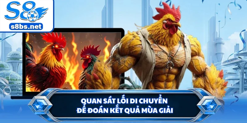 Quan sát lối di chuyển để đoán kết quả mùa giải