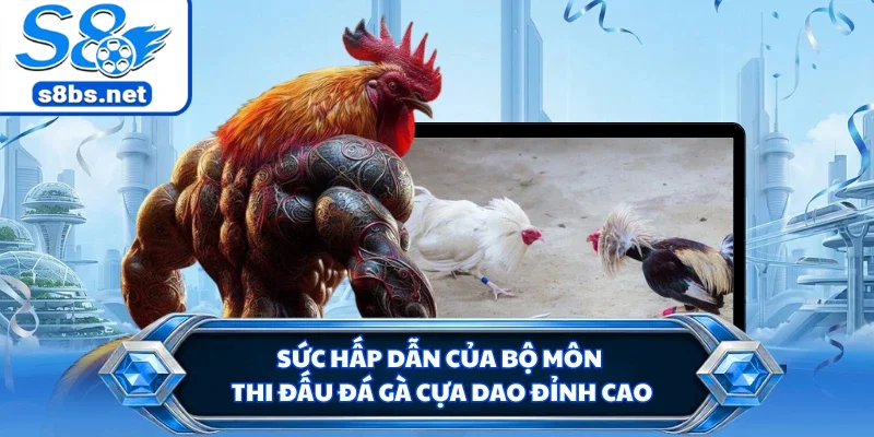 Đá Gà Cựa Dao - Sàn Đấu Trực Tuyến Uy Tín Nhất Tại S8 1 Sức hấp dẫn của bộ môn thi đấu đá gà cựa dao đỉnh cao