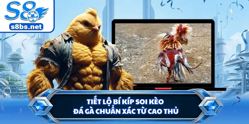 Tiết lộ bí kíp soi kèo đá gà chuẩn xác từ cao thủ